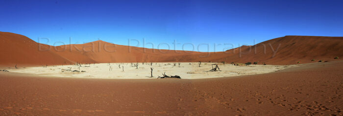 Deathflei Panorama