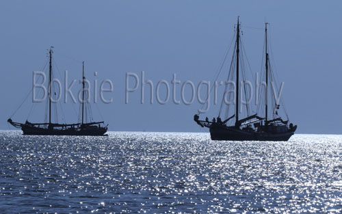 Blue Sailing