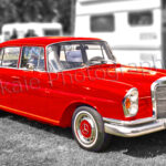 Heckflosse Red