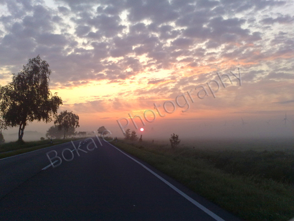 Wesermarsh-Dawn