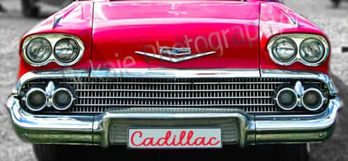 Caddyface XL 195x90